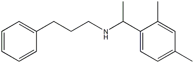 [1-(2,4-dimethylphenyl)ethyl](3-phenylpropyl)amine Struktur