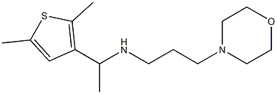 [1-(2,5-dimethylthiophen-3-yl)ethyl][3-(morpholin-4-yl)propyl]amine Struktur