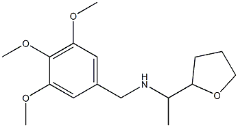 [1-(oxolan-2-yl)ethyl][(3,4,5-trimethoxyphenyl)methyl]amine Struktur