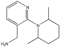 [2-(2,6-dimethylpiperidin-1-yl)pyridin-3-yl]methylamine Struktur