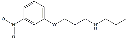 [3-(3-nitrophenoxy)propyl](propyl)amine Struktur