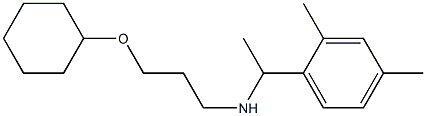 [3-(cyclohexyloxy)propyl][1-(2,4-dimethylphenyl)ethyl]amine Struktur