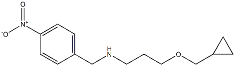 [3-(cyclopropylmethoxy)propyl][(4-nitrophenyl)methyl]amine Struktur