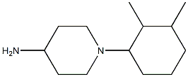 1-(2,3-dimethylcyclohexyl)piperidin-4-amine Struktur