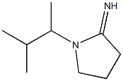 1-(3-methylbutan-2-yl)pyrrolidin-2-imine Struktur