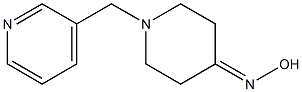 1-(pyridin-3-ylmethyl)piperidin-4-one oxime Struktur