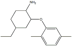 2-(2,5-dimethylphenoxy)-4-ethylcyclohexan-1-amine Struktur