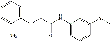 2-(2-aminophenoxy)-N-[3-(methylsulfanyl)phenyl]acetamide Struktur