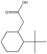 2-(2-tert-butylcyclohexyl)acetic acid Struktur