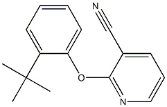 2-(2-tert-butylphenoxy)pyridine-3-carbonitrile Struktur