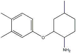 2-(3,4-dimethylphenoxy)-4-methylcyclohexan-1-amine Struktur