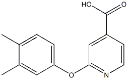 2-(3,4-dimethylphenoxy)pyridine-4-carboxylic acid Struktur