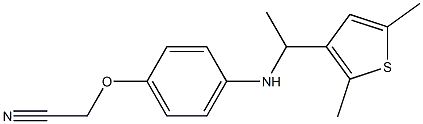 2-(4-{[1-(2,5-dimethylthiophen-3-yl)ethyl]amino}phenoxy)acetonitrile Struktur