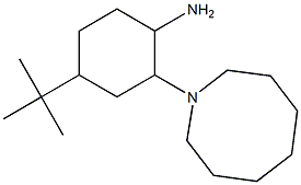 2-(azocan-1-yl)-4-tert-butylcyclohexan-1-amine Struktur