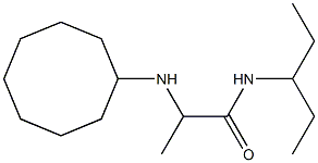 2-(cyclooctylamino)-N-(pentan-3-yl)propanamide Struktur