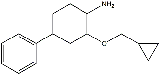 2-(cyclopropylmethoxy)-4-phenylcyclohexan-1-amine Struktur