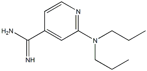 2-(dipropylamino)pyridine-4-carboximidamide Struktur