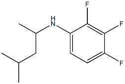 2,3,4-trifluoro-N-(4-methylpentan-2-yl)aniline Struktur