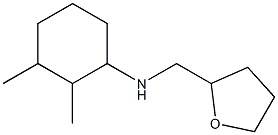 2,3-dimethyl-N-(oxolan-2-ylmethyl)cyclohexan-1-amine Struktur