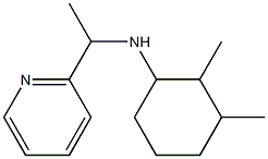 2,3-dimethyl-N-[1-(pyridin-2-yl)ethyl]cyclohexan-1-amine Struktur