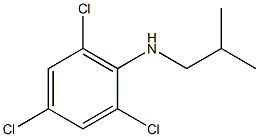 2,4,6-trichloro-N-(2-methylpropyl)aniline Struktur