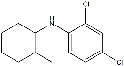 2,4-dichloro-N-(2-methylcyclohexyl)aniline Struktur