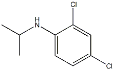 2,4-dichloro-N-(propan-2-yl)aniline Struktur