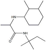 2-[(2,3-dimethylcyclohexyl)amino]-N-(2-methylbutan-2-yl)propanamide Struktur