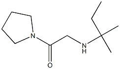 2-[(2-methylbutan-2-yl)amino]-1-(pyrrolidin-1-yl)ethan-1-one Struktur