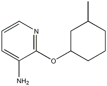 2-[(3-methylcyclohexyl)oxy]pyridin-3-amine Struktur