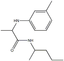 2-[(3-methylphenyl)amino]-N-(pentan-2-yl)propanamide Struktur