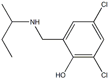 2-[(butan-2-ylamino)methyl]-4,6-dichlorophenol Struktur