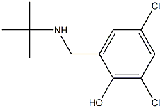 2-[(tert-butylamino)methyl]-4,6-dichlorophenol Struktur