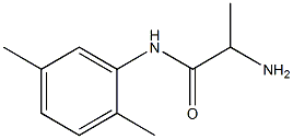 2-amino-N-(2,5-dimethylphenyl)propanamide Struktur