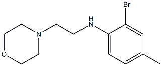 2-bromo-4-methyl-N-[2-(morpholin-4-yl)ethyl]aniline Struktur