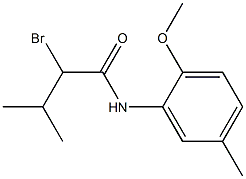 2-bromo-N-(2-methoxy-5-methylphenyl)-3-methylbutanamide Struktur