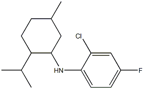 2-chloro-4-fluoro-N-[5-methyl-2-(propan-2-yl)cyclohexyl]aniline Struktur