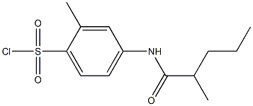 2-methyl-4-(2-methylpentanamido)benzene-1-sulfonyl chloride Struktur