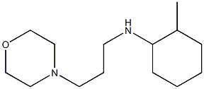 2-methyl-N-[3-(morpholin-4-yl)propyl]cyclohexan-1-amine Struktur