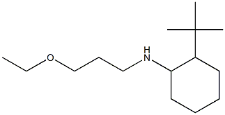 2-tert-butyl-N-(3-ethoxypropyl)cyclohexan-1-amine Struktur