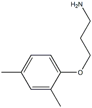 3-(2,4-dimethylphenoxy)propan-1-amine Struktur