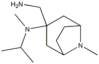 3-(aminomethyl)-N,8-dimethyl-N-(propan-2-yl)-8-azabicyclo[3.2.1]octan-3-amine Struktur