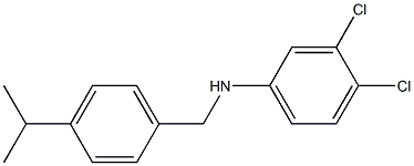 3,4-dichloro-N-{[4-(propan-2-yl)phenyl]methyl}aniline Struktur