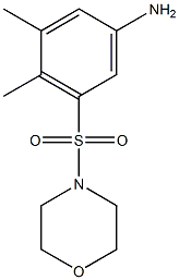 3,4-dimethyl-5-(morpholine-4-sulfonyl)aniline Struktur