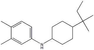 3,4-dimethyl-N-[4-(2-methylbutan-2-yl)cyclohexyl]aniline Struktur