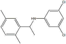 3,5-dichloro-N-[1-(2,5-dimethylphenyl)ethyl]aniline Struktur