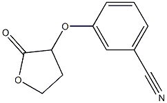 3-[(2-oxooxolan-3-yl)oxy]benzonitrile Struktur