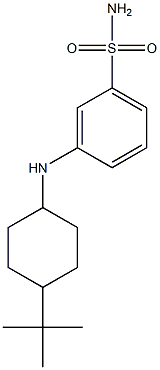 3-[(4-tert-butylcyclohexyl)amino]benzene-1-sulfonamide Struktur