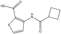 3-[(cyclobutylcarbonyl)amino]thiophene-2-carboxylic acid Struktur