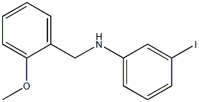 3-iodo-N-[(2-methoxyphenyl)methyl]aniline Struktur